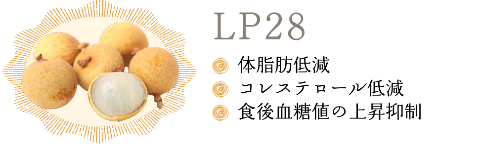 LP28